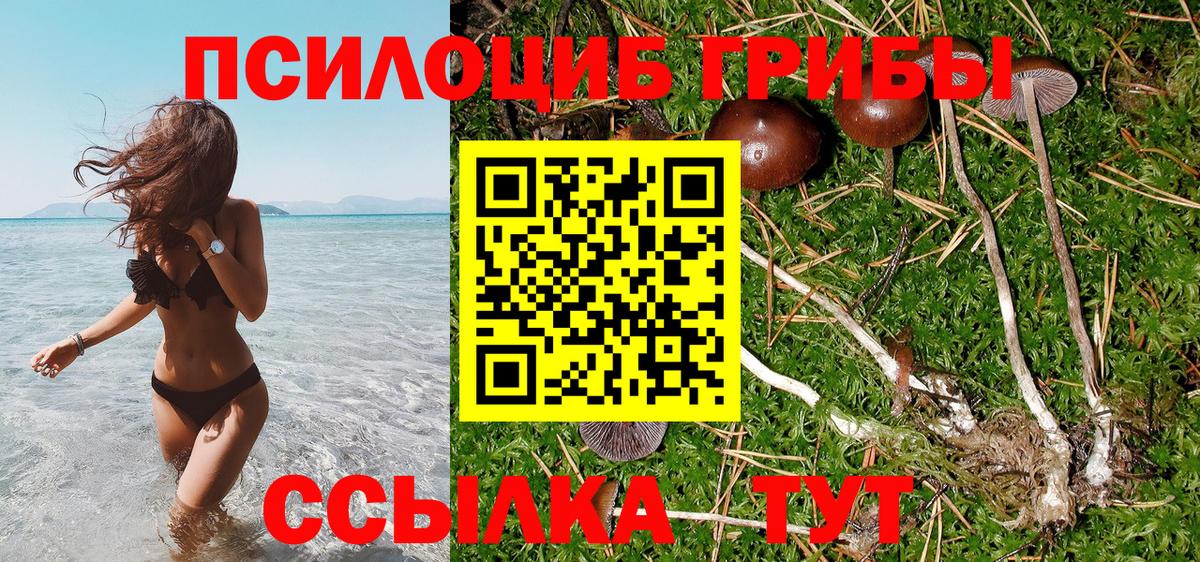 Галлюциногенные грибы мицелий Муравленко
