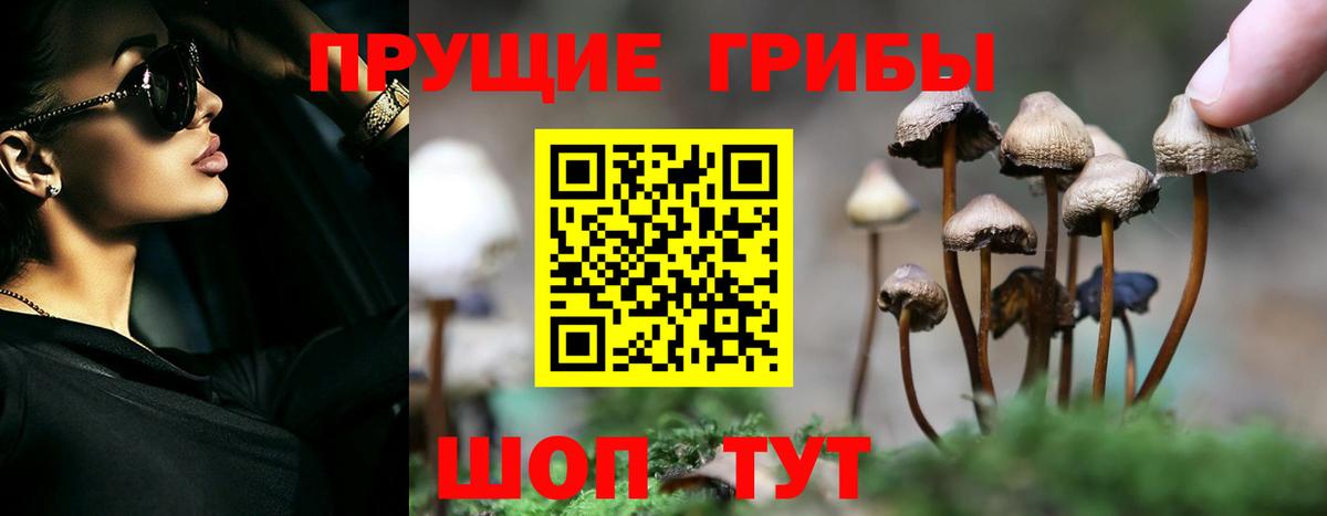 Муравленко  Псилоцибиновые грибы Magic Shrooms  Галлюциногенные грибы прущие грибы  Вход с VPN 
